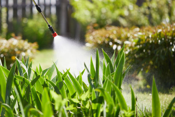 24/7 Emergency Ant Control experts in Richland, GA