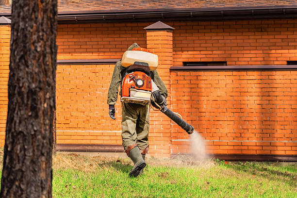 Top rated local Ant Control specialists in Richland, GA